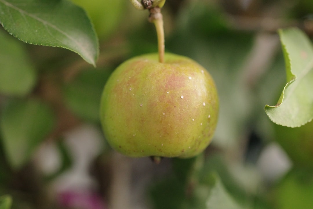 découvrez les bienfaits du vinaigre de cidre : conseils d'utilisation, avantages pour la santé, astuces beauté et idées de recettes naturelles à base de vinaigre de cidre de pomme.