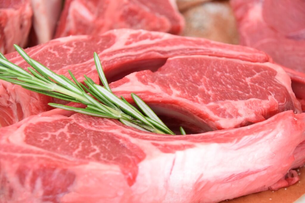 découvrez le régime carnivore, une alimentation basée exclusivement sur la consommation de viande, ses bienfaits potentiels et ses conseils pratiques pour bien démarrer.