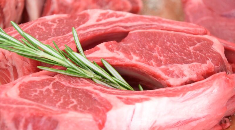 découvrez le régime carnivore, une alimentation basée exclusivement sur la consommation de viande, ses bienfaits potentiels et ses conseils pratiques pour bien démarrer.