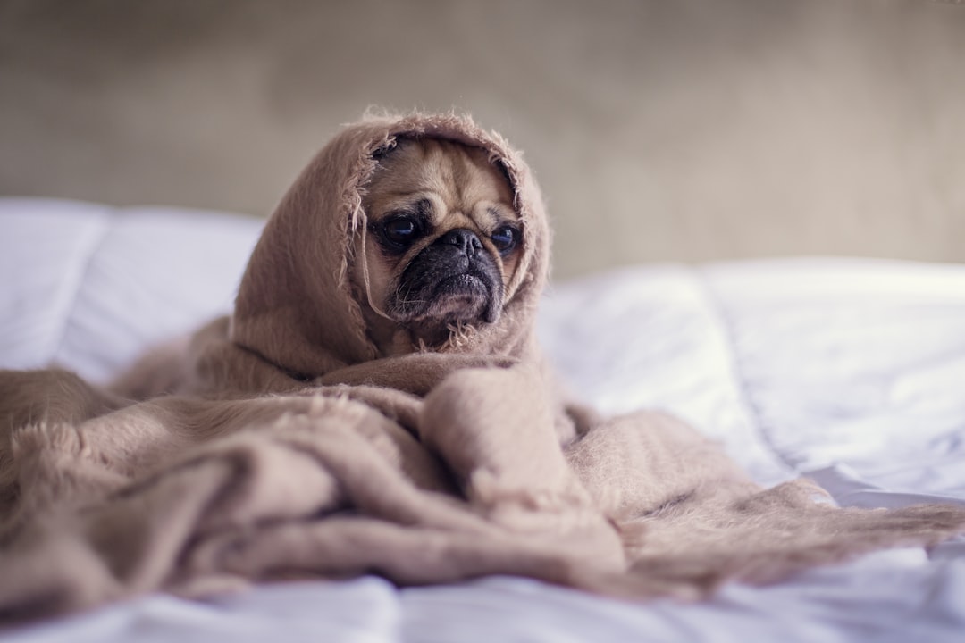 dĂ©couvrez les causes, symptĂŽmes et solutions pour mieux gĂ©rer le stress au quotidien. conseils pratiques et informations pour retrouver calme et bien-ĂȘtre.